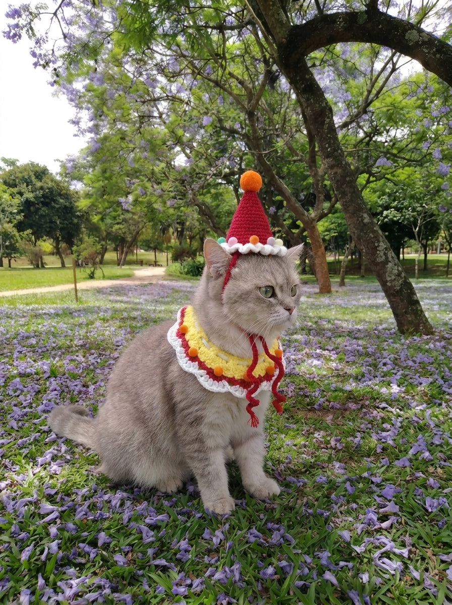 ๐ฑ Handmade Crochet Kitty Hat