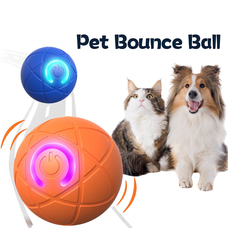 Ziptred™ - Interactive Pet Bounce Ball – USB Rechargeable Motion Toy for Cats 🐱 & Dogs 🐶