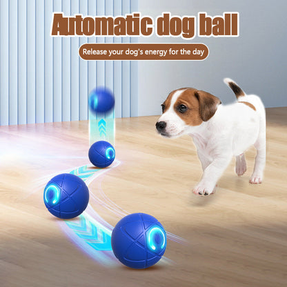 Ziptred™ - Interactive Pet Bounce Ball – USB Rechargeable Motion Toy for Cats 🐱 & Dogs 🐶