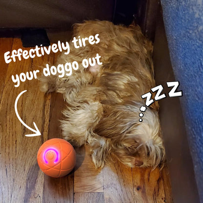 Ziptred™ - Interactive Pet Bounce Ball – USB Rechargeable Motion Toy for Cats 🐱 & Dogs 🐶