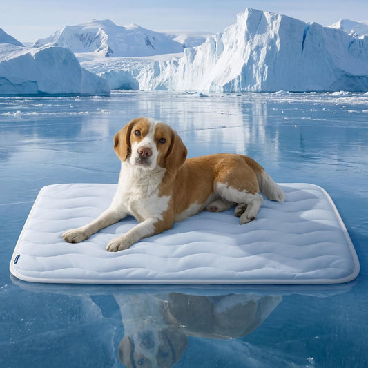 Ice Cooling Mat for Pets, Breathable Cooling Crate Pad Indoor for Pet