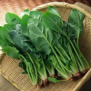 Four Seasons Red Stem Spinach - The Eggs of Vegetables
