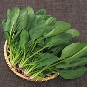 Four Seasons Red Stem Spinach - The Eggs of Vegetables