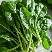 Four Seasons Red Stem Spinach - The Eggs of Vegetables