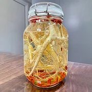Precious Ginseng Seeds  Herbaceous Perennial