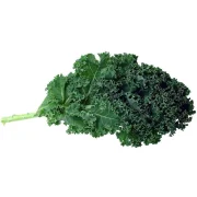 Kale Seeds