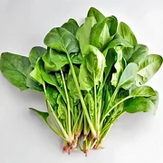 Four Seasons Red Stem Spinach - The Eggs of Vegetables