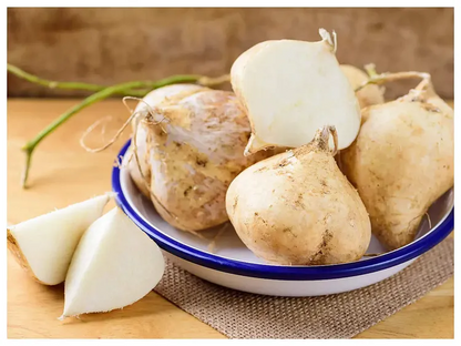 Jicama Pachyrhizus Erosus Seeds