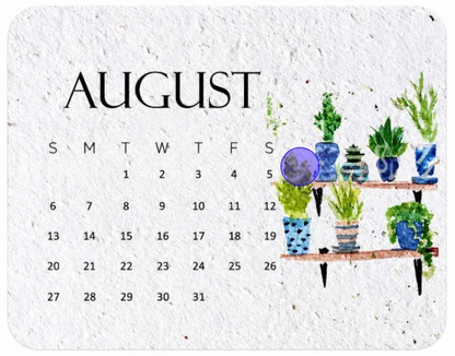 🌱 48% OFF 2027 Plantable Seed Calendar – Use It, Plant It, Grow It 🌼